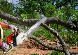 Best Hazardous Tree Removal  in Redstone Arsen, AL